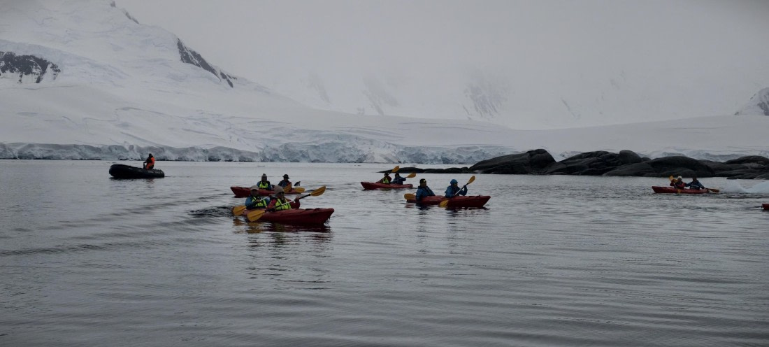 HDS26-26, Day 4, IMG_20260111_101148 © Unknown photographer - Oceanwide Expeditions.jpg