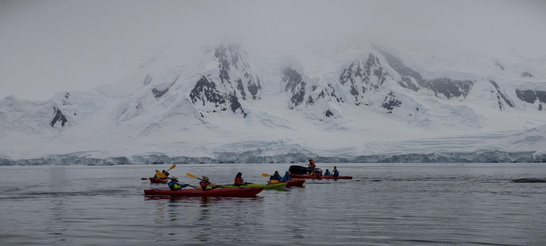 HDS26-26, Day 4, IMG_20260111_101207 © Unknown photographer - Oceanwide Expeditions.jpg