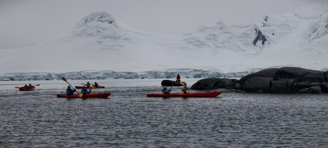 HDS26-26, Day 4, IMG_20260111_101232 © Unknown photographer - Oceanwide Expeditions.jpg