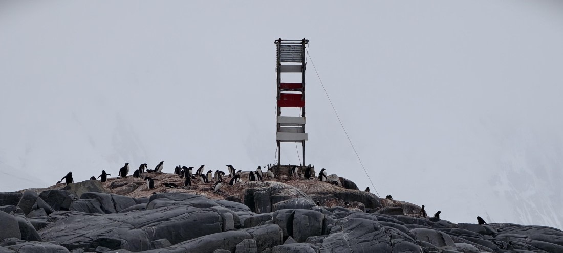 HDS26-26, Day 4, IMG_20260111_101311 © Unknown photographer - Oceanwide Expeditions.jpg