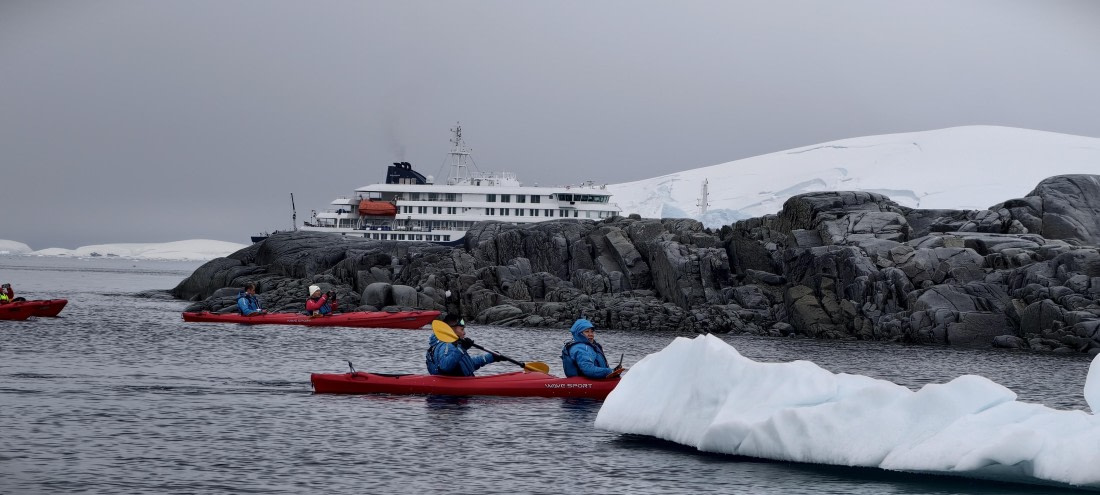HDS26-26, Day 4, IMG_20260111_101409 © Unknown photographer - Oceanwide Expeditions.jpg
