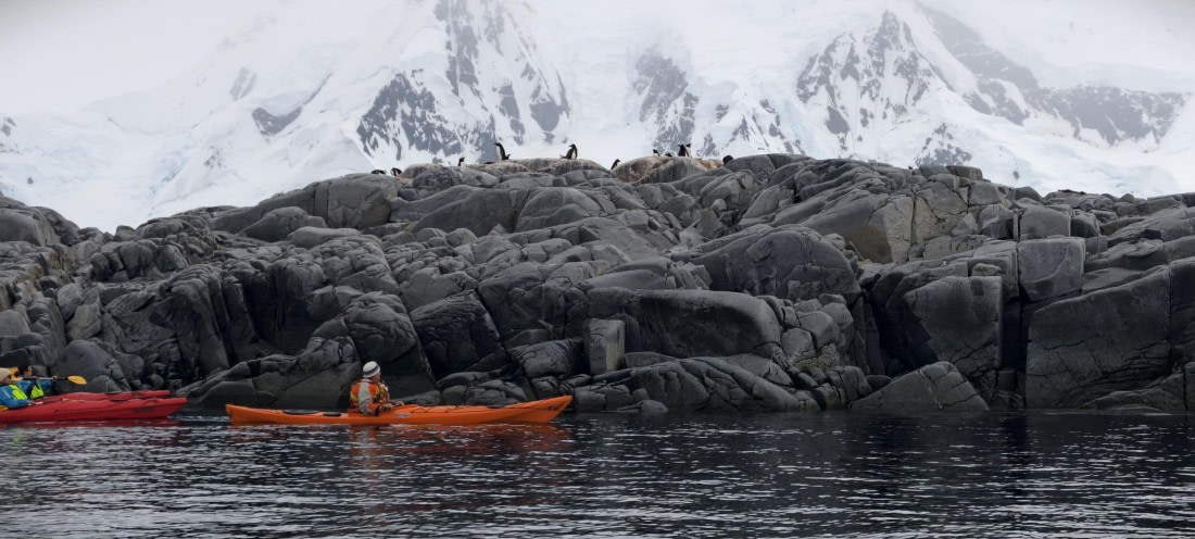 HDS26-26, Day 4, IMG_20260111_101422 © Unknown photographer - Oceanwide Expeditions.jpg