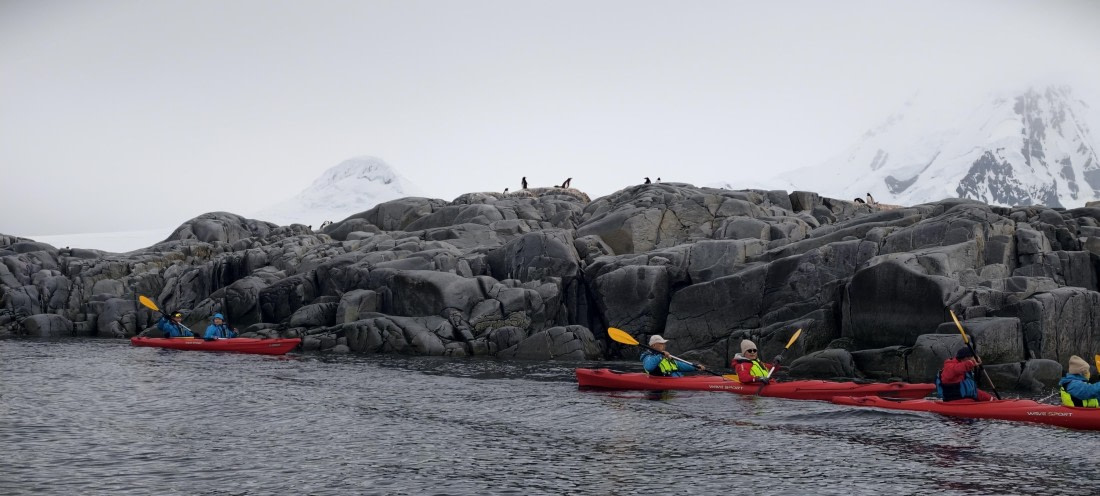 HDS26-26, Day 4, IMG_20260111_101524 © Unknown photographer - Oceanwide Expeditions.jpg
