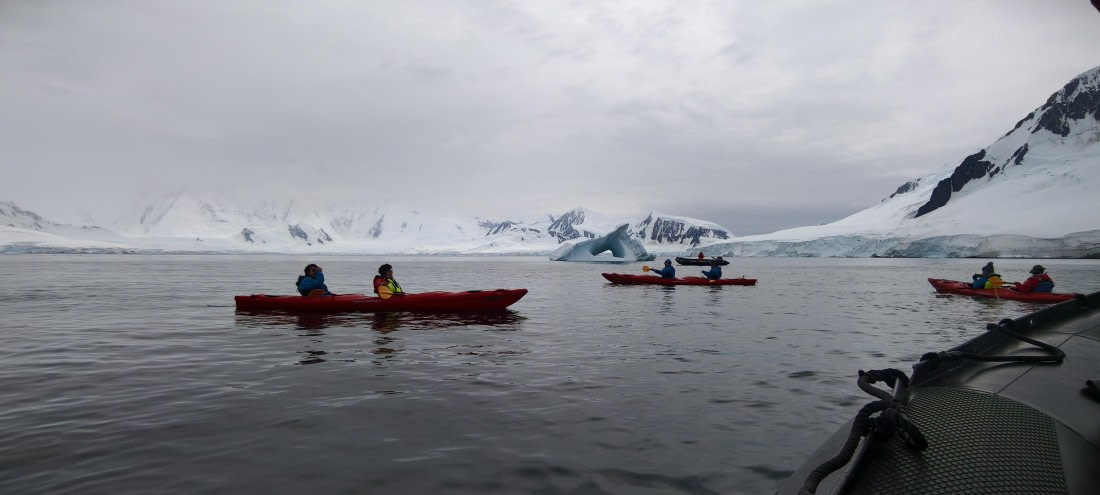 HDS26-26, Day 4, IMG_20260111_101652 © Unknown photographer - Oceanwide Expeditions.jpg