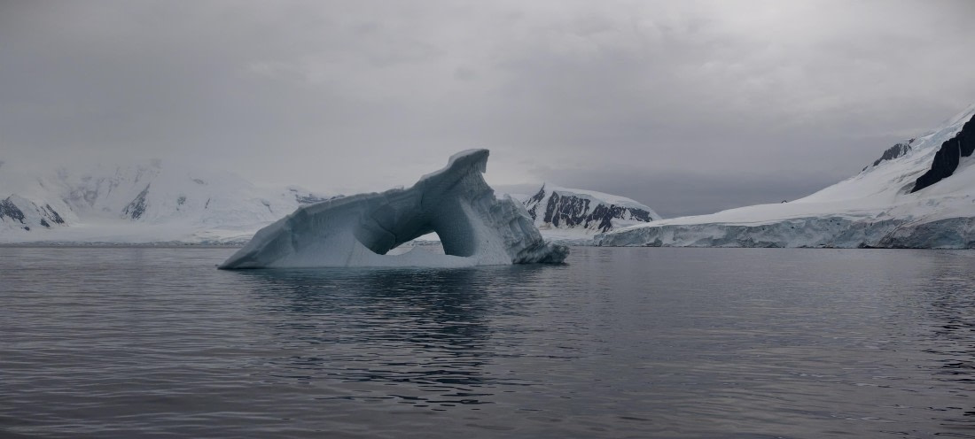 HDS26-26, Day 4, IMG_20260111_101837 © Unknown photographer - Oceanwide Expeditions.jpg