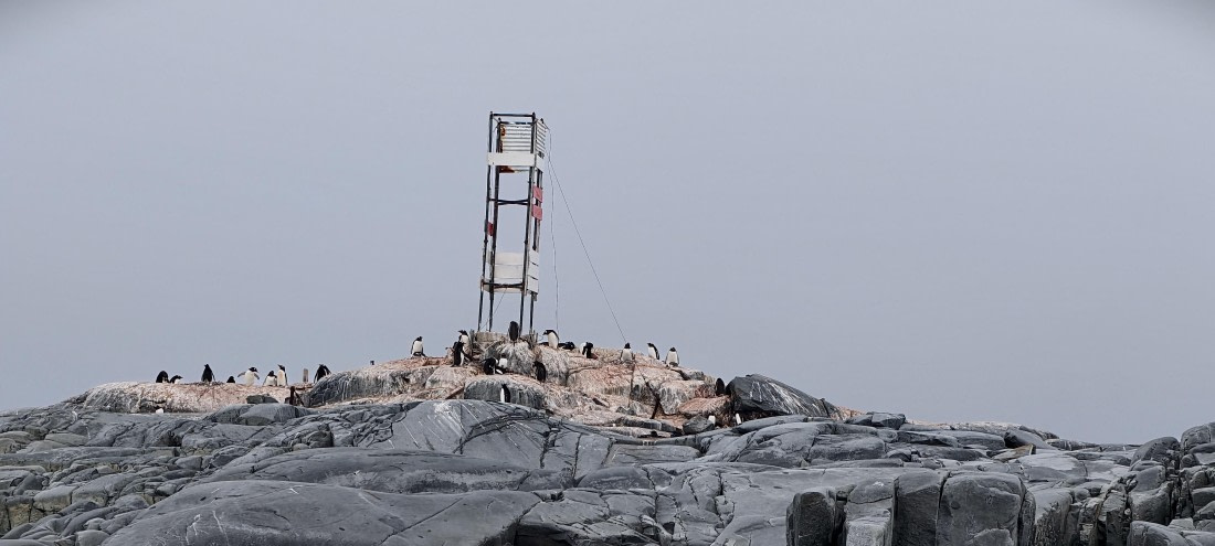 HDS26-26, Day 4, IMG_20260111_102011 © Unknown photographer - Oceanwide Expeditions.jpg