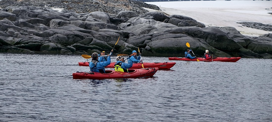 HDS26-26, Day 4, IMG_20260111_102222 © Unknown photographer - Oceanwide Expeditions.jpg