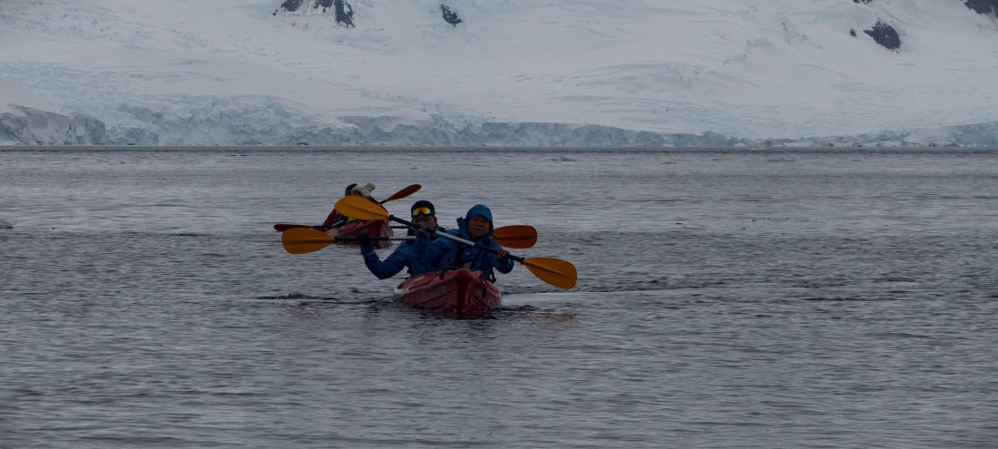 HDS26-26, Day 4, IMG_20260111_102657 © Unknown photographer - Oceanwide Expeditions.jpg