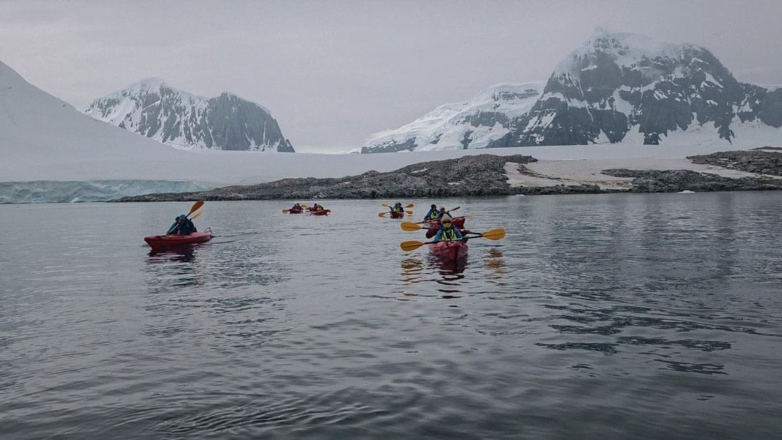 HDS26-26, Day 4, IMG_20260111_103146 © Unknown photographer - Oceanwide Expeditions.jpg