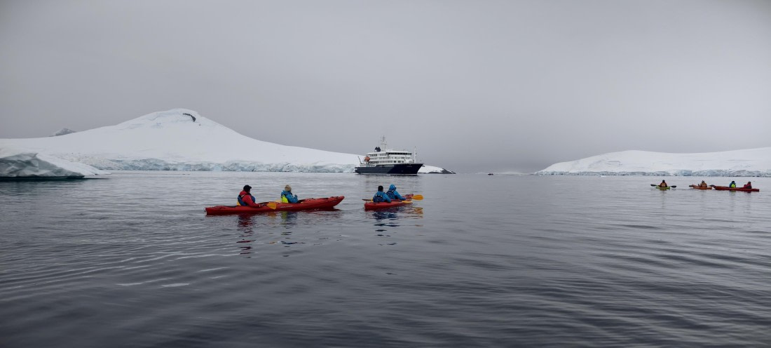 HDS26-26, Day 4, IMG_20260111_103320 © Unknown photographer - Oceanwide Expeditions.jpg