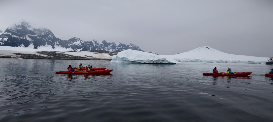HDS26-26, Day 4, IMG_20260111_103327 © Unknown photographer - Oceanwide Expeditions.jpg