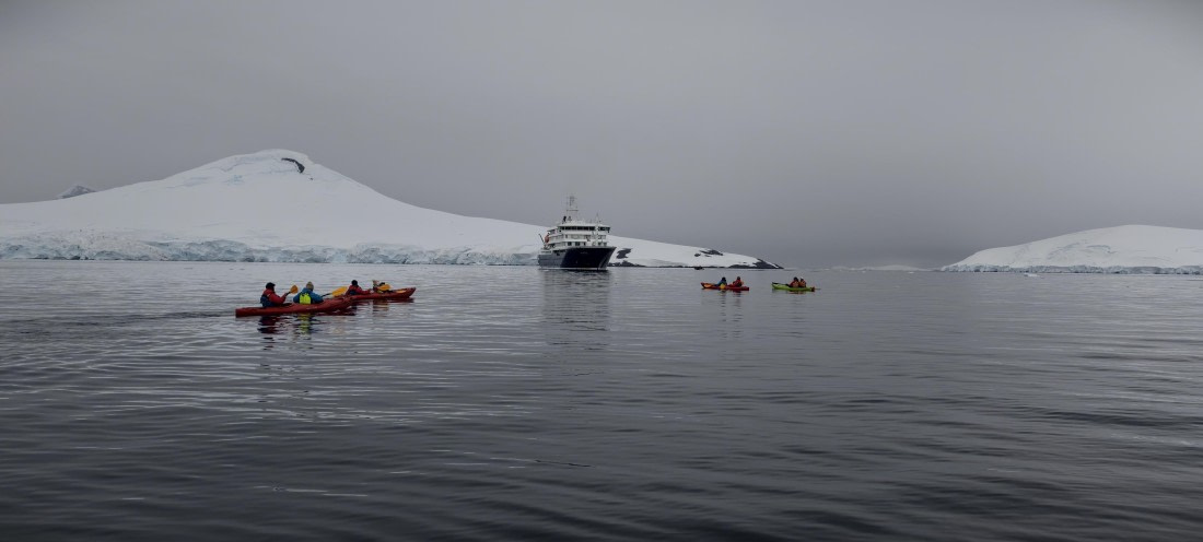 HDS26-26, Day 4, IMG_20260111_103450 © Unknown photographer - Oceanwide Expeditions.jpg