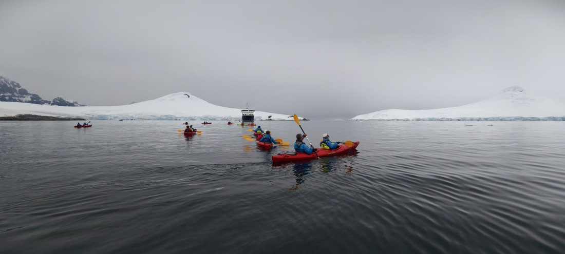 HDS26-26, Day 4, IMG_20260111_103552 © Unknown photographer - Oceanwide Expeditions.jpg