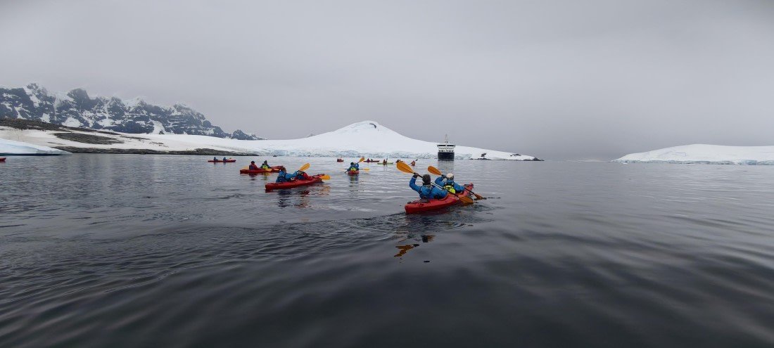 HDS26-26, Day 4, IMG_20260111_103600 © Unknown photographer - Oceanwide Expeditions.jpg