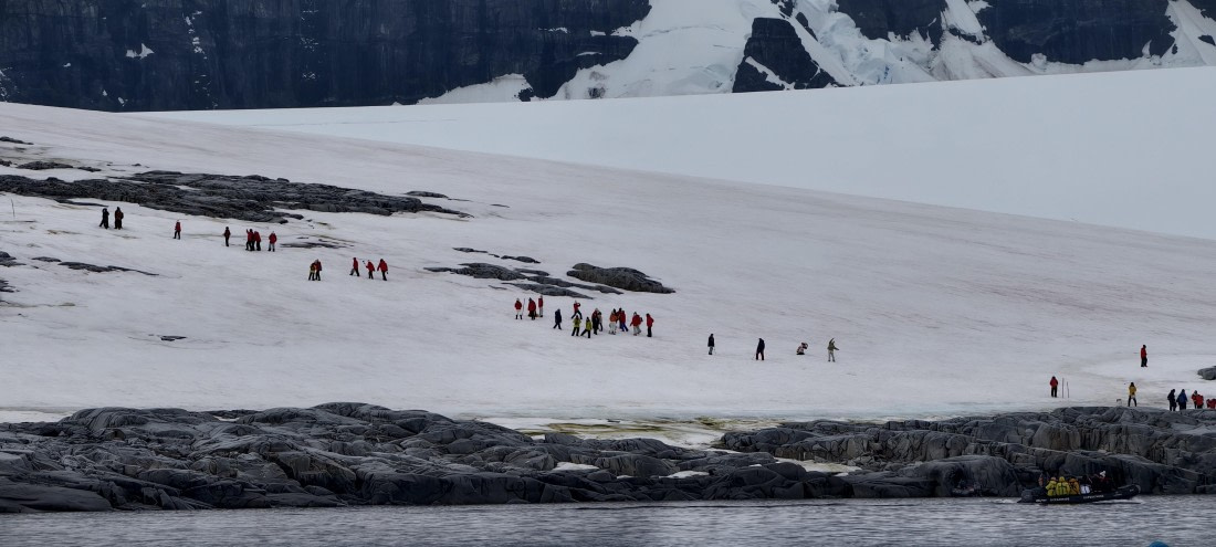 HDS26-26, Day 4, IMG_20260111_103613 © Unknown photographer - Oceanwide Expeditions.jpg