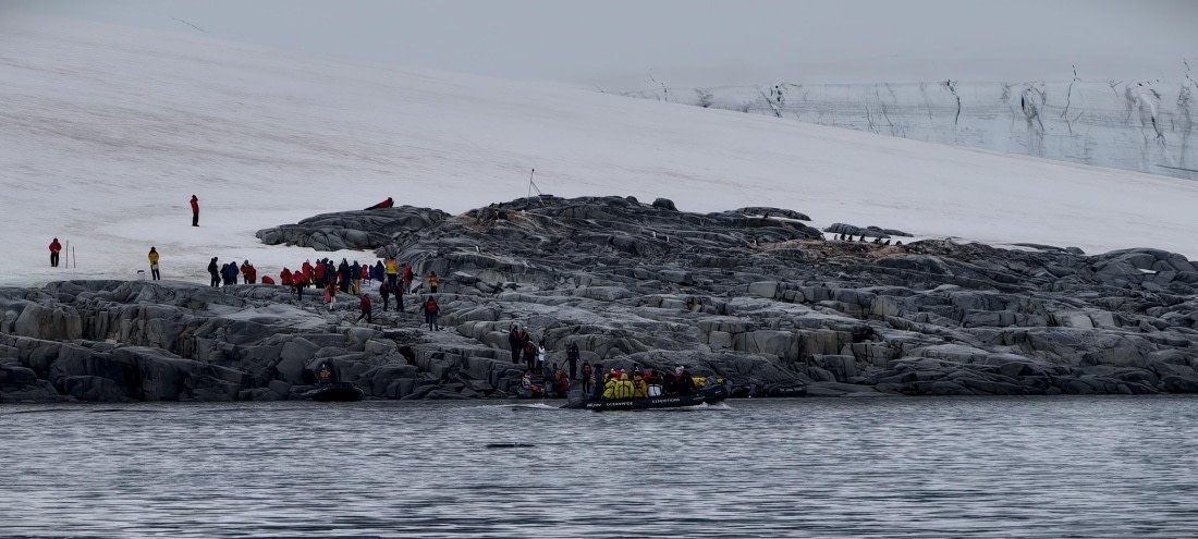 HDS26-26, Day 4, IMG_20260111_103620 © Unknown photographer - Oceanwide Expeditions.jpg
