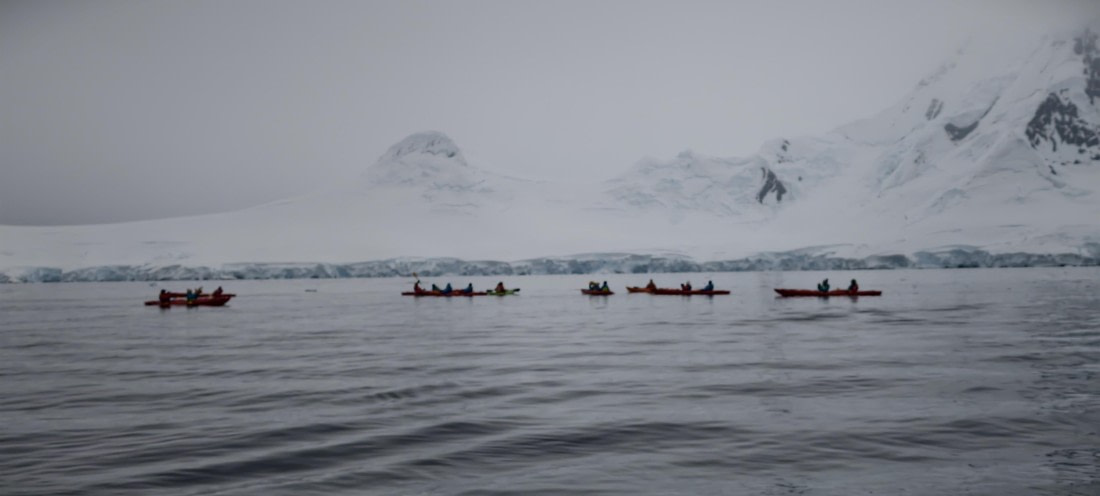 HDS26-26, Day 4, IMG_20260111_103737 © Unknown photographer - Oceanwide Expeditions.jpg