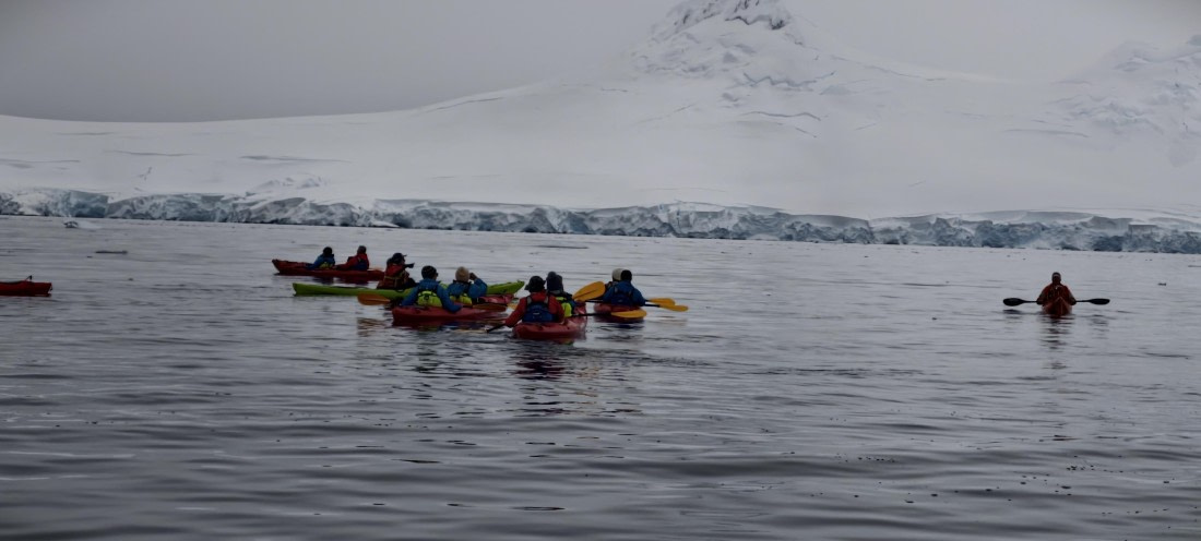 HDS26-26, Day 4, IMG_20260111_103805 © Unknown photographer - Oceanwide Expeditions.jpg