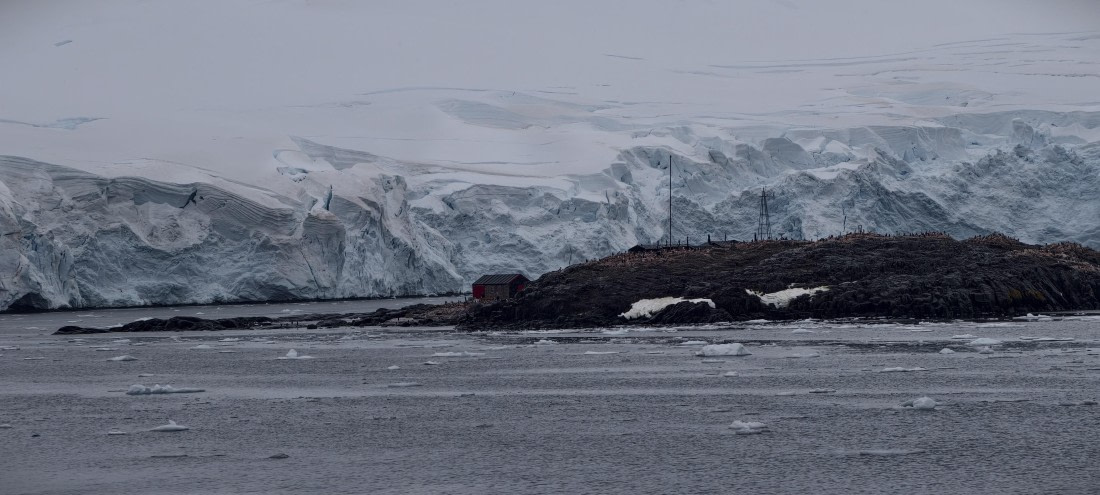 HDS26-26, Day 4, IMG_20260111_143538 © Unknown photographer - Oceanwide Expeditions.jpg
