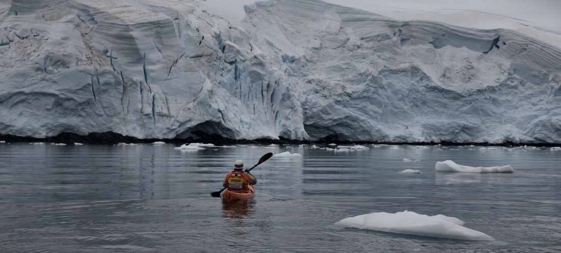 HDS26-26, Day 4, IMG_20260111_162105 © Unknown photographer - Oceanwide Expeditions.jpg