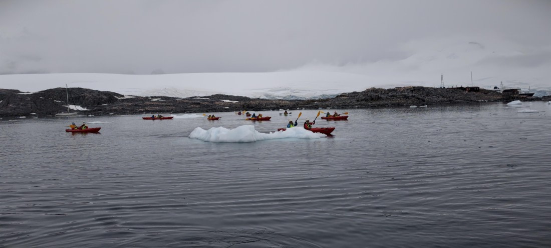 HDS26-26, Day 4, IMG_20260111_162117 © Unknown photographer - Oceanwide Expeditions.jpg