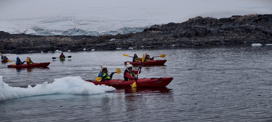 HDS26-26, Day 4, IMG_20260111_162119 © Unknown photographer - Oceanwide Expeditions.jpg