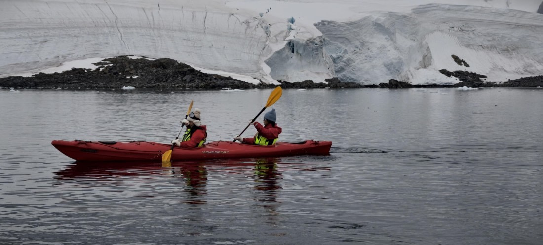 HDS26-26, Day 4, IMG_20260111_162232 © Unknown photographer - Oceanwide Expeditions.jpg