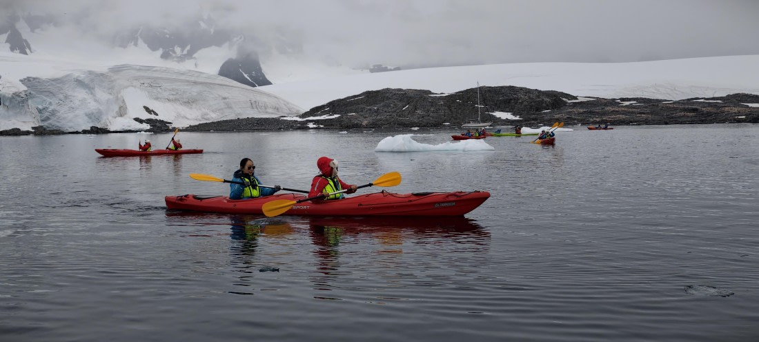 HDS26-26, Day 4, IMG_20260111_162251 © Unknown photographer - Oceanwide Expeditions.jpg