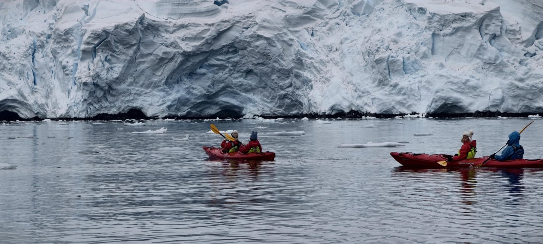 HDS26-26, Day 4, IMG_20260111_162310 © Unknown photographer - Oceanwide Expeditions.jpg