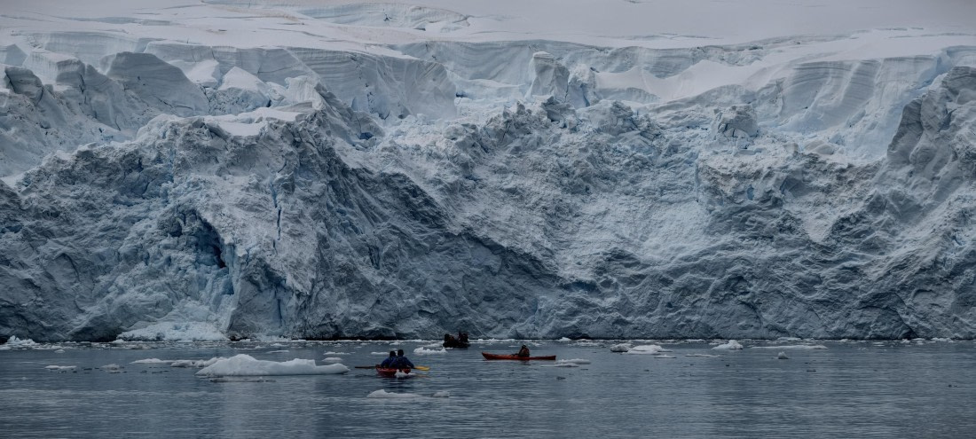 HDS26-26, Day 4, IMG_20260111_162334 © Unknown photographer - Oceanwide Expeditions.jpg