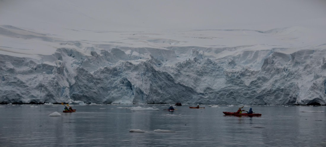 HDS26-26, Day 4, IMG_20260111_162340 © Unknown photographer - Oceanwide Expeditions.jpg