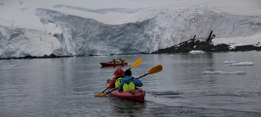 HDS26-26, Day 4, IMG_20260111_162344 © Unknown photographer - Oceanwide Expeditions.jpg