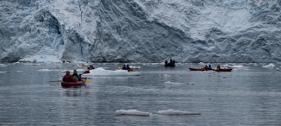 HDS26-26, Day 4, IMG_20260111_162522 © Unknown photographer - Oceanwide Expeditions.jpg