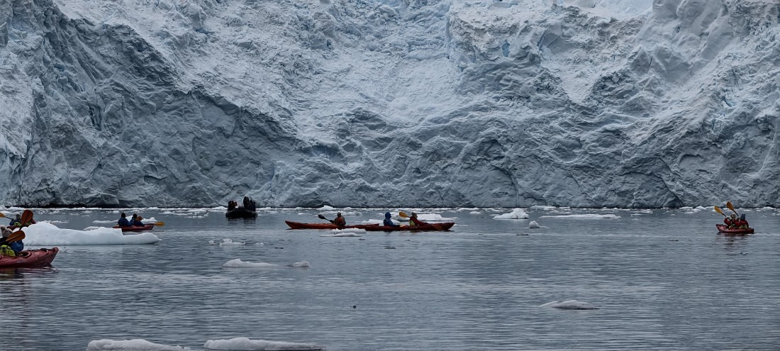 HDS26-26, Day 4, IMG_20260111_162525 © Unknown photographer - Oceanwide Expeditions.jpg