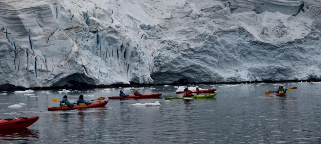 HDS26-26, Day 4, IMG_20260111_162647 © Unknown photographer - Oceanwide Expeditions.jpg