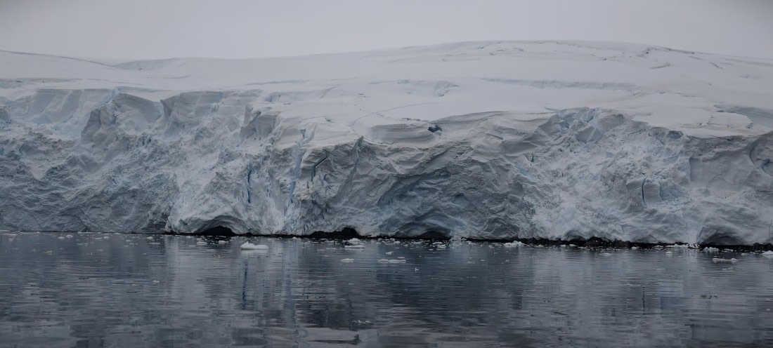 HDS26-26, Day 4, IMG_20260111_163117 © Unknown photographer - Oceanwide Expeditions.jpg