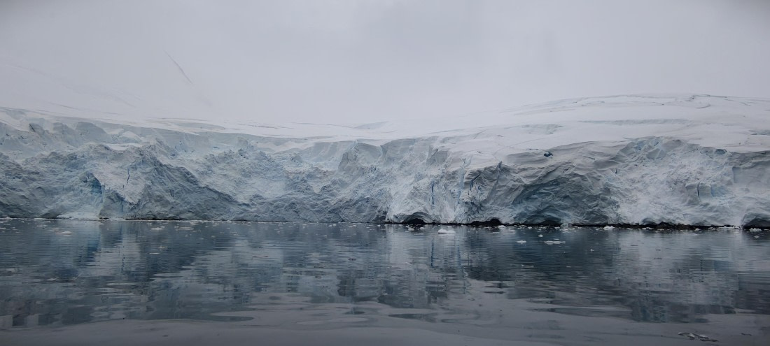 HDS26-26, Day 4, IMG_20260111_163121 © Unknown photographer - Oceanwide Expeditions.jpg