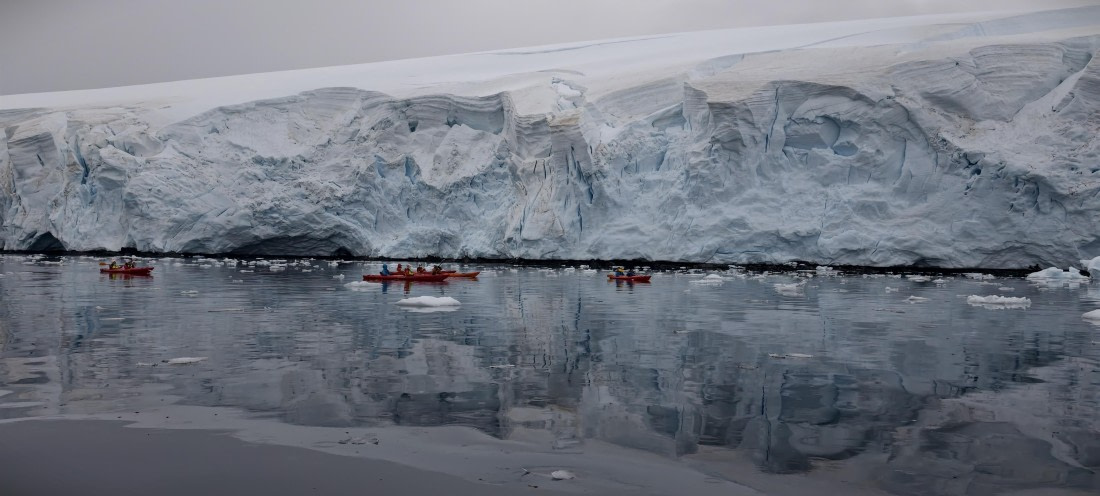 HDS26-26, Day 4, IMG_20260111_163227 © Unknown photographer - Oceanwide Expeditions.jpg