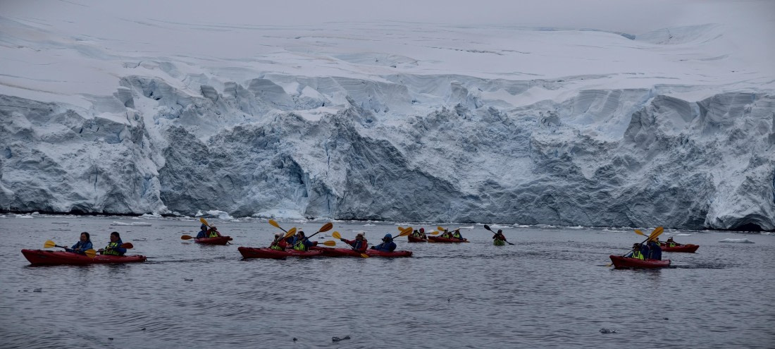 HDS26-26, Day 4, IMG_20260111_164733 © Unknown photographer - Oceanwide Expeditions.jpg