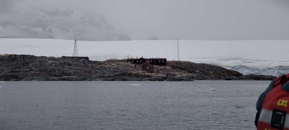 HDS26-26, Day 4, IMG_20260111_165605 © Unknown photographer - Oceanwide Expeditions.jpg