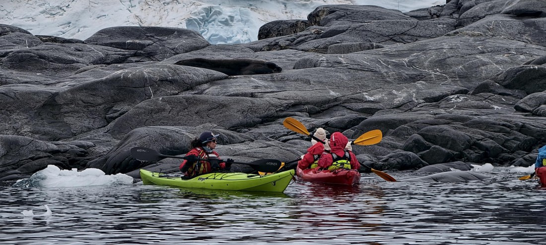 HDS26-26, Day 4, IMG_20260111_170731 © Unknown photographer - Oceanwide Expeditions.jpg