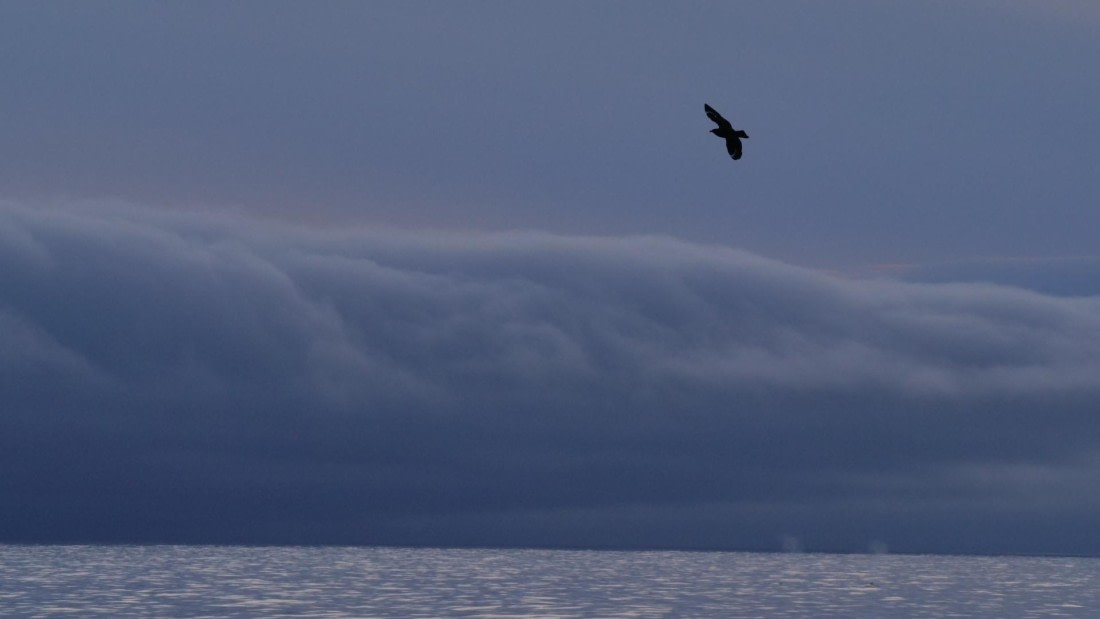 HDS26-26, Day 4, PLUX4386 © Jade Heister - Oceanwide Expeditions.JPG