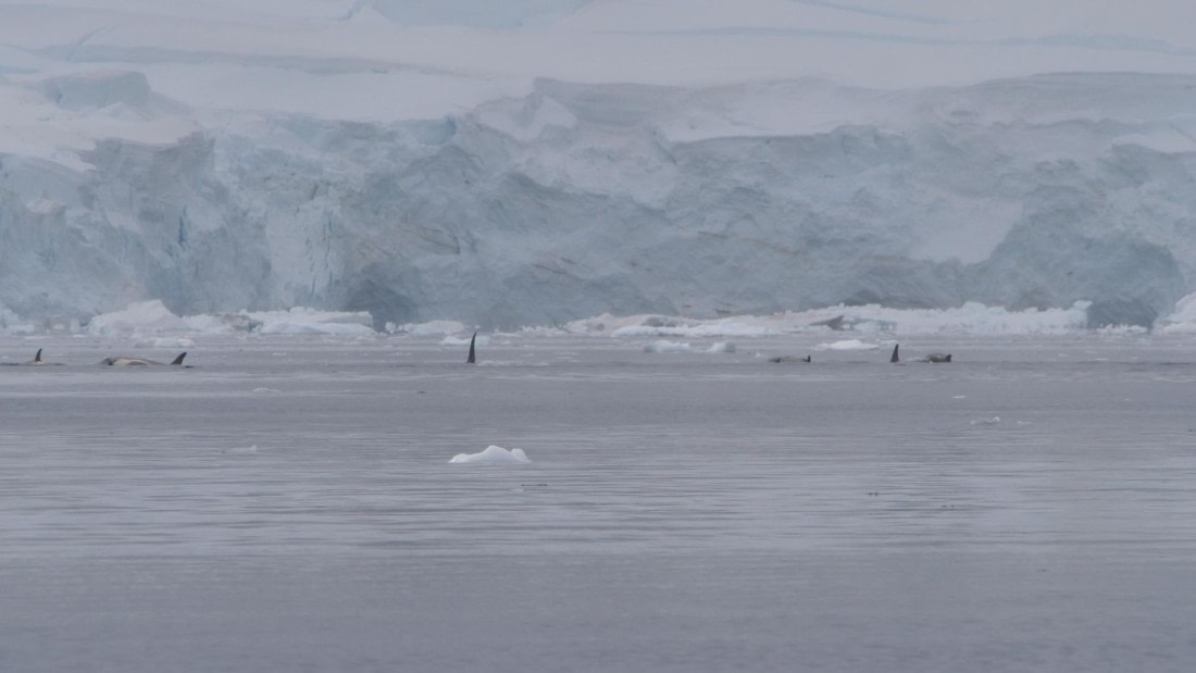 HDS26-26, Day 4, PLUX4782 © Jade Heister - Oceanwide Expeditions.JPG