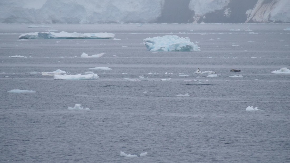 HDS26-26, Day 4, PLUX4859 © Jade Heister - Oceanwide Expeditions.JPG