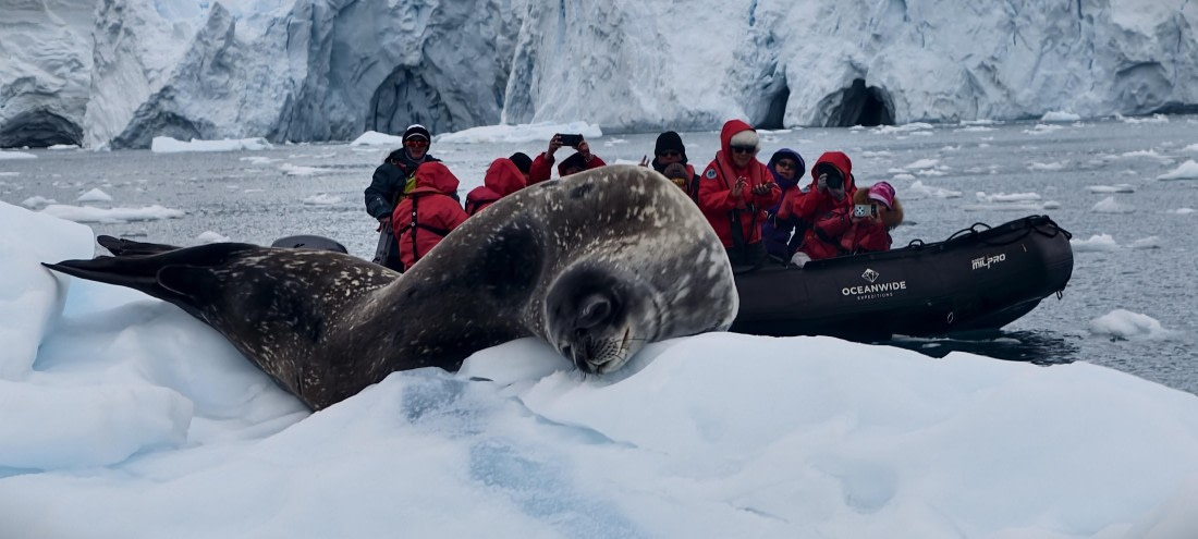 HDS26-26, Day 5, IMG_20260112_153903 © Unknown photographer - Oceanwide Expeditions.jpg
