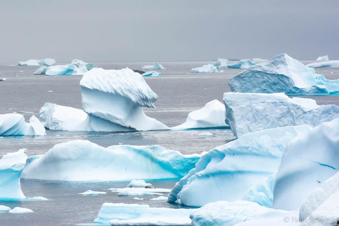 HDS26-26, Day 6, _DSC9021 © Hana Spickova - Oceanwide Expeditions.jpg