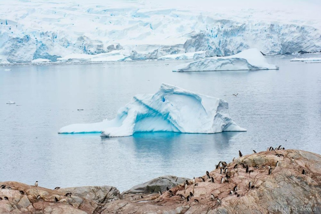 HDS26-26, Day 6, _DSC9050 © Hana Spickova - Oceanwide Expeditions.jpg