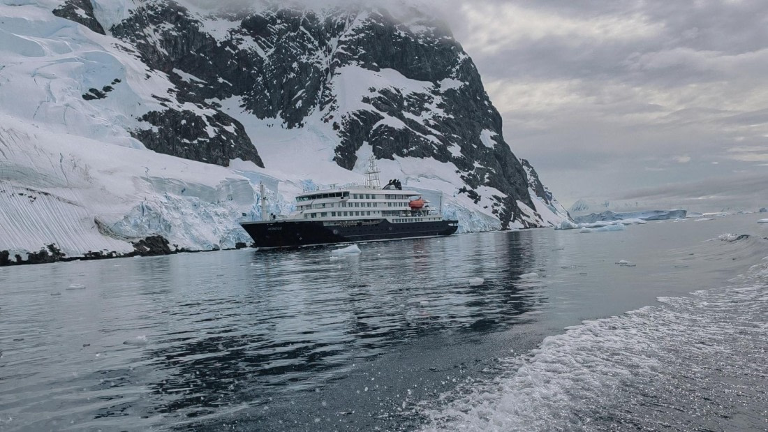 HDS26-26, Day 6, IMG_20260113_105754 © Unknown photographer - Oceanwide Expeditions.jpg