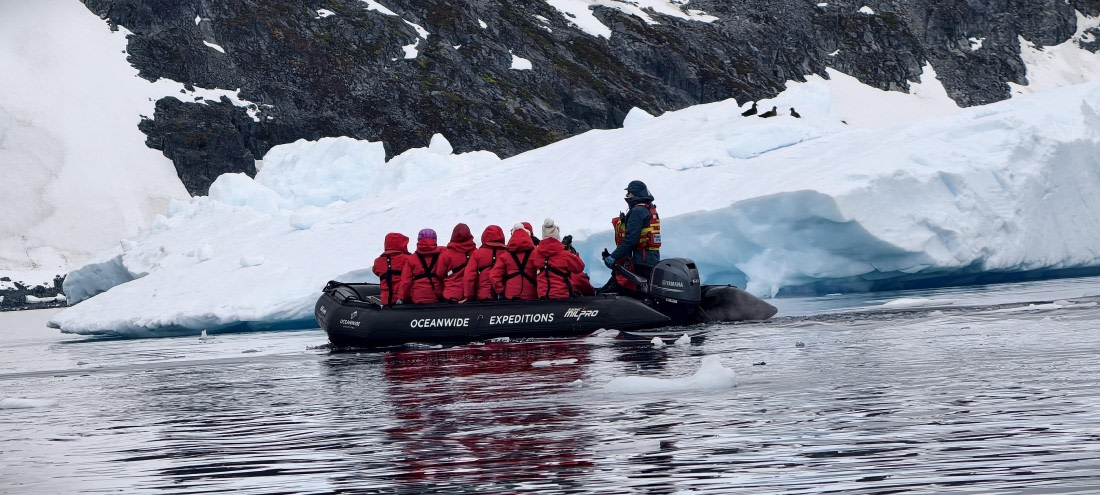 HDS26-26, Day 6, IMG_20260113_111651 © Unknown photographer - Oceanwide Expeditions.jpg