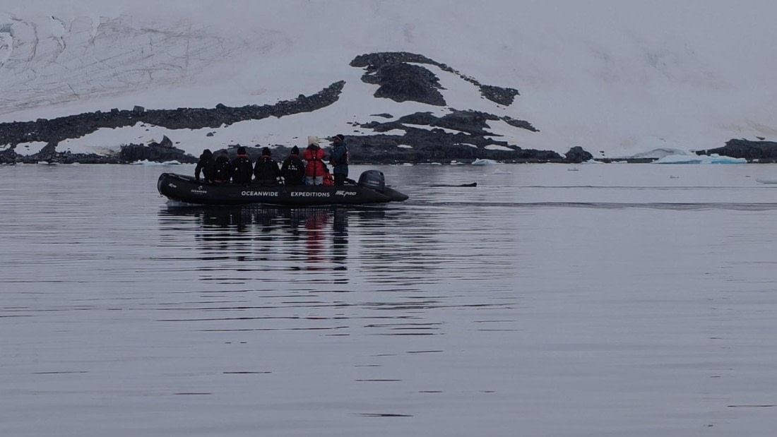 HDS26-26, Day 6, IMG_20260113_113056 © Unknown photographer - Oceanwide Expeditions.jpg